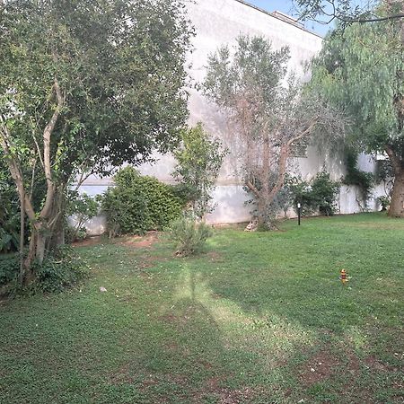 Villa Teresa Maria Porto Cesareo Exteriér fotografie
